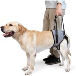 Harnais de soutien pour grand chien aide � la mobilit� pour arthrose et r��ducation taille xl - gris
