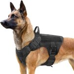 Harnais tactiques pour chien gilets � anneaux pour chiens de travail militaires harnais dentra�nement ...