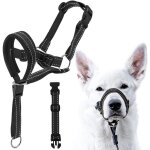 Harnais de tte licol pour chien avec sangle de scurit harnais anti - traction pour chien collier de ...