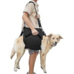 Harnais de transport pour chien sac � dos durgence pour animaux de compagnie soutien et r��ducation des ...