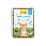Herbe  chat - gimcat - 407128 - riche en vitamines - favorise la digestion - made in germany