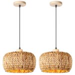 Idegu 2pcs rétro suspension luminaire industriel 30cm lustre vintage en fenugrec lampe de plafond style ... Idegu 2pcs rétro suspension luminaire industriel 30cm lustre vintage en fenugrec lampe de plafond style ...