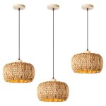 Idegu 3pcs rtro suspension luminaire industriel 30cm lustre vintage en fenugrec lampe de plafond style ...