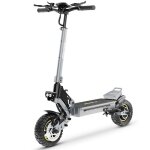 Ienyrid s1 trottinette �lectrique ? 800w moteur ? batterie 48v15ah ? pneus de 10 pouces - gris