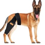 Inf orth�se de genou xl pour chien pour la r�cup�ration et le soutien du lca