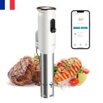 Inkbird isv - 101w wifi thermoplongeur sous vide 1000w four sous vide cuisson basse circulation d?eau ...