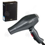 Inn sche - cheveux lizze 2400w schage rapide temprature constante soins capillaires professionnel ...