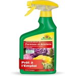 Insecticide anti - pucerons et anti - acariens pr�t � lemploi pulv�risateur 750 ml ? traitement anti ...