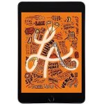 Ipad mini 5 (2019) wifi + 4g - 64 go - gris sid�ral - reconditionn� - tr�s bon �tat