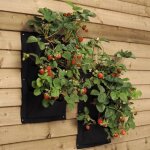 Jardini�re murale verticale noire monobloc id�ale pour les fleurs fraisiers pommes de terre et autres ...