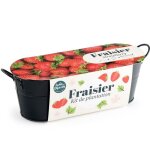 Jardini�re zinc noir 30 cm - fraisier
