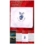 Jean - jacques goldman ? en tour ensemble ? double cd live