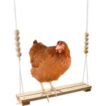 Jouet de balanoire en bois pour volaille et perroquets perche stable pour poules et canaris soulagement ...