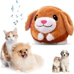 Jouet chien interactif 2025 jouet pour chien jouet de balle rebondissante pour chiens balle interactive ...