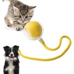 Jouet interactif - boule automatique - pour chats et chiens - charge usb - �vitement dobstacles