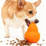 Jouet chien anti ennui ? balle distributeur de friandises jouet interactif pour chiens r�duit stress ...