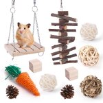 Jouets pour hamster balles dherbe lapin cochon hollandais fournitures de dentition Jouets pour hamster balles dherbe lapin cochon hollandais fournitures de dentition