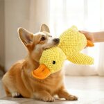 Jouet interactif chien canard en peluche 25?cm ? sonore résistant anti - stress format petit Jouet interactif chien canard en peluche 25?cm ? sonore résistant anti - stress format petit