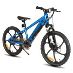 Joystar vlo lectrique enfant ds 7 ans - vtt 250w moteur brushlessbatterie amovible freins double disque ...