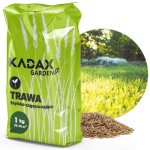 Kadax semences de gazon universelles paississement rapide pelouse rsistantes 1kg 40m2