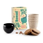 Kit bonsa� � faire pousser - plantes originales atypiques - nature & d�couvertes