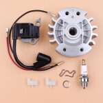 Kit de cliquets de bobine dallumage pour stihl 017 018 ms170 ms180 ms 170 180 avec tronçonneuse avec ... Kit de cliquets de bobine dallumage pour stihl 017 018 ms170 ms180 ms 170 180 avec tronçonneuse avec ...