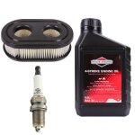 Kit dentretien pour tondeuse briggs& stratton huile 06l + bougie + filtre Kit dentretien pour tondeuse briggs& stratton huile 06l + bougie + filtre