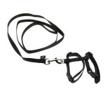 Kit laisse harnais chat noir - laisse harnais chat
