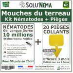 Kit nmatodes 10 millions + 20 piges collants xxl - contre les mouches du terreau - pour traiter 50 ...