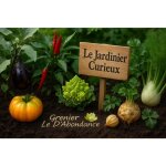 Kit semences potag�res rares le grenier d�abondance � 7 vari�t�s originales � semer pour jardinier curieux ...