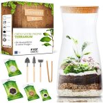 Kit terrarium - diy - verre - personnalisable - facile  utiliser - instructions incluses