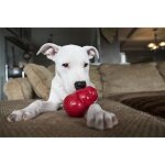 Kong jouet  mcher rebondissant en caoutchouc naturel classic small - rouge - pour chien
