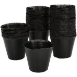 Kotarbau lot de 100 pots de semis en plastique 60 x 45 x 58 mm