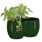 Kotarbau lot de 2 pots de fleurs ronds en c�ramique diam�tre : 15 cm hauteur : 16 cm vert cache - pot ...