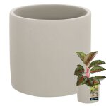Kotarbau pot de fleurs en c�ramique - grand cylindre ethnique - diam�tre : 16 cm - hauteur : 15 cm - ...