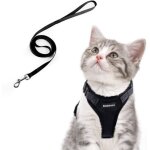 Laisse et harnais pour petit chien et chat réglable gilet respirant avec attache et laisse pour maine ... Laisse et harnais pour petit chien et chat réglable gilet respirant avec attache et laisse pour maine ...