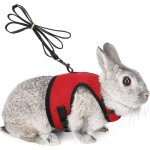 Laisse pour petit animal de compagnie : lapin cochon dinde bande �lastique pour petit animal gilet souple ...