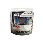 Super white h15 55 / 15w ampoule halogne 5500k effet xnon plein phare & feux de jour ece