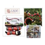 Jouet pour chat dintrieur - serpent interactif pour chat - jouet pour animal de compagnie - lbdc