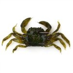 Leurre de pche - okumggyj - 9 cm - 28 g - couleur verte - appt souple pour crabe