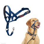 Licol anti - traction pour chien - halti - taille 3 - bleu cobalt - muserolle rembourr�e - �l�ments r�fl�chiss ...
