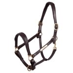 Licol pour cheval en cuir premiere equitation - brun - full Licol pour cheval en cuir premiere equitation - brun - full