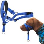Licol pour chien avec tissu rembourr collier pour chien l