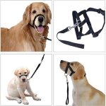 Licol noir pour chien harnais de tte rflchissant yyv