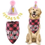 Lot de 10 accessoires de fête danniversaire pour chien et fille chapeau scintillant avec 8 chiffres pailletés ... Lot de 10 accessoires de fête danniversaire pour chien et fille chapeau scintillant avec 8 chiffres pailletés ...