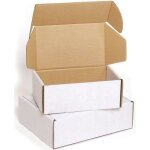 Lot de 10 boites postales en carton blanc 26x19x10cm