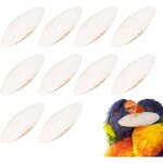 Lot de 10 os de seiche pour oiseaux - os de seiche pour tortues - jouet � m�cher - os de seiche naturel ...