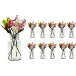 Lot de 10 petits vases en verreronds136cm de hauteurvases pour décoration300ml Lot de 10 petits vases en verreronds136cm de hauteurvases pour décoration300ml