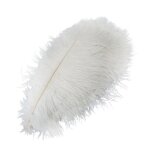 Lot de 10 plumes dautruche blanches naturelles dcoration en vrac pour centres de table de fte de mariage ...