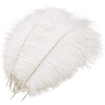 Lot de 10 plumes dautruche d�coratives pour mariage - blanc 25 - 30 cm